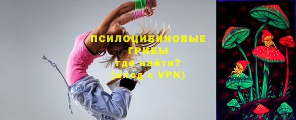 тгк Аркадак