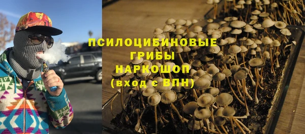 экстази Арсеньев