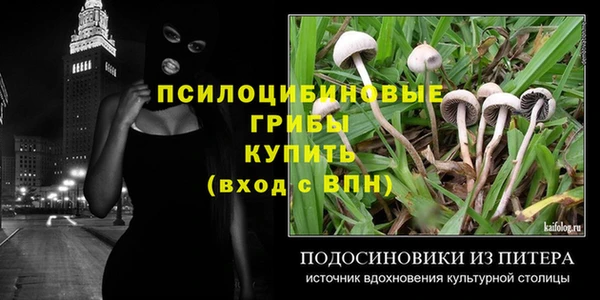 тгк Аркадак