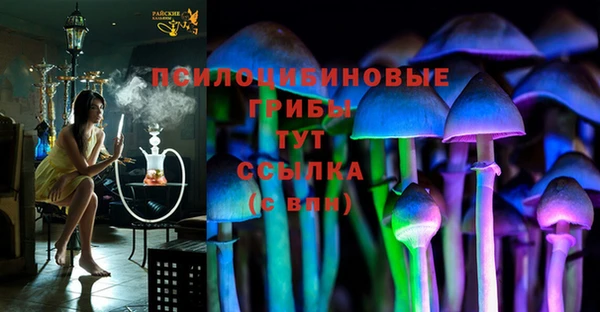 тгк Аркадак