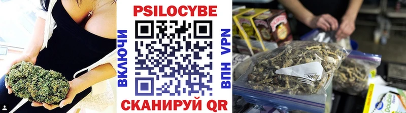Псилоцибиновые грибы Magic Shrooms  Кирово-Чепецк 